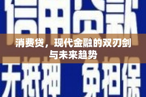 定海消费贷，现代金融的双刃剑与未来趋势