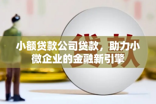 定海小额贷款公司贷款，助力小微企业的金融新引擎