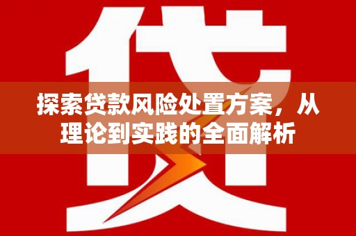定海探索贷款风险处置方案，从理论到实践的全面解析