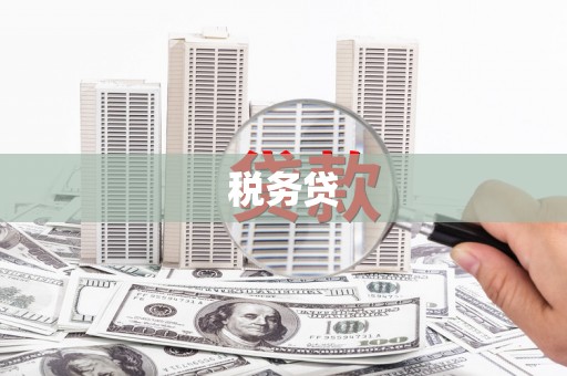 定海税务贷