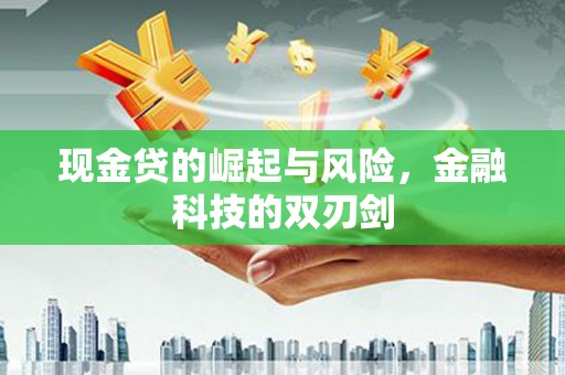 定海现金贷的崛起与风险，金融科技的双刃剑