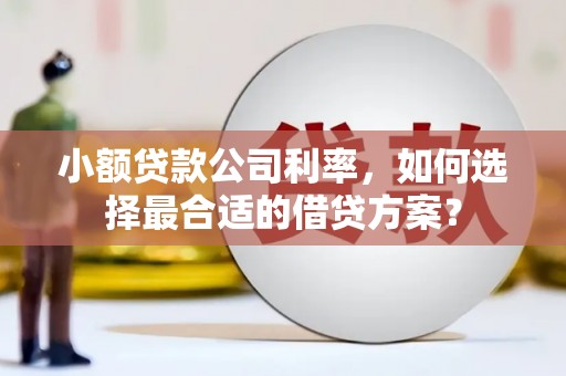 定海小额贷款公司利率，如何选择最合适的借贷方案？