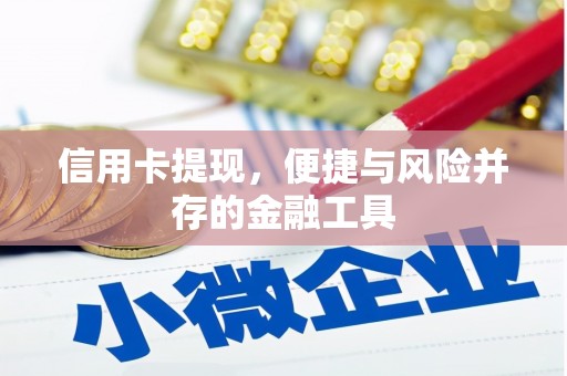 定海信用卡提现，便捷与风险并存的金融工具