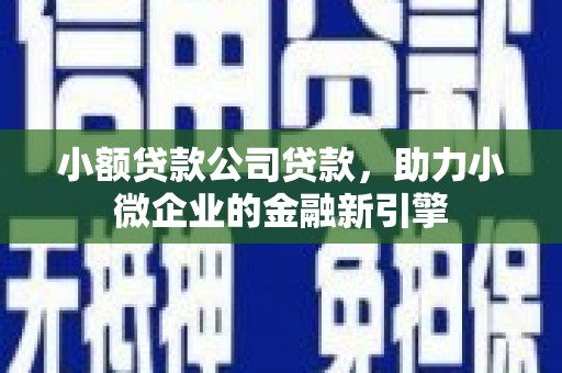 定海小额贷款公司贷款，助力小微企业的金融新引擎