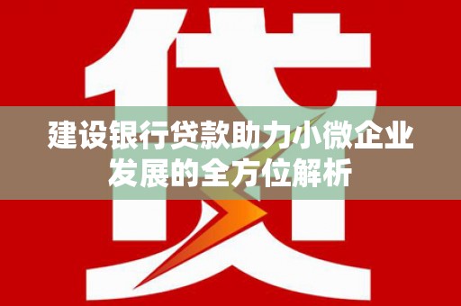 定海建设银行贷款助力小微企业发展的全方位解析