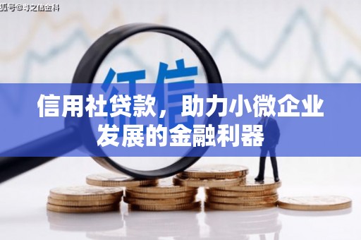 定海信用社贷款，助力小微企业发展的金融利器