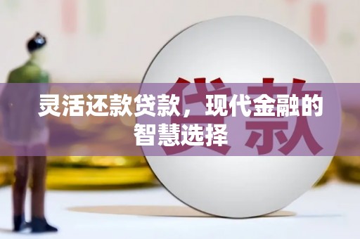 定海灵活还款贷款，现代金融的智慧选择