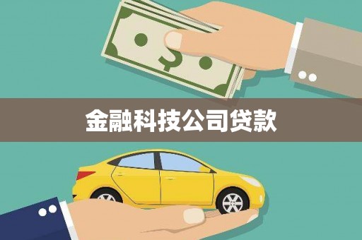 定海金融科技公司贷款