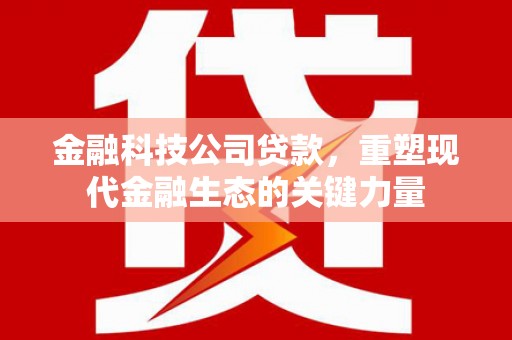 定海金融科技公司贷款，重塑现代金融生态的关键力量