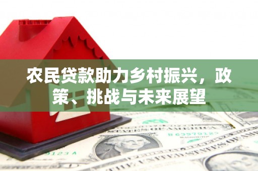 定海农民贷款助力乡村振兴，政策、挑战与未来展望