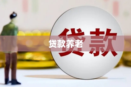 定海贷款养老