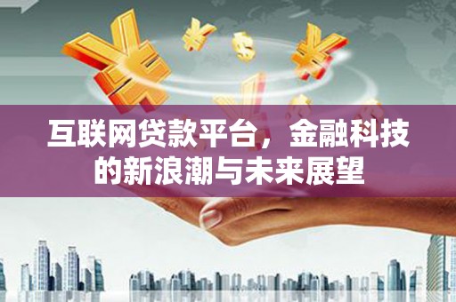定海互联网贷款平台，金融科技的新浪潮与未来展望