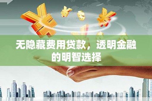 定海无隐藏费用贷款，透明金融的明智选择