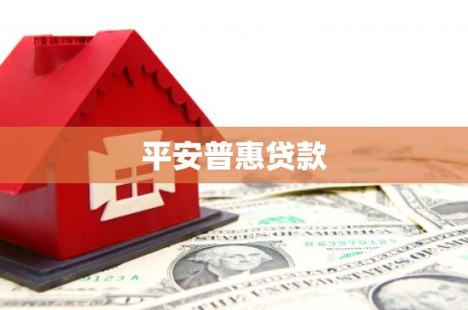 定海平安普惠贷款