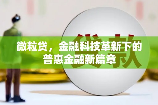 定海微粒贷，金融科技革新下的普惠金融新篇章