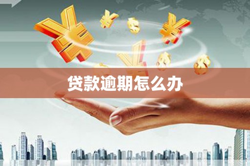 定海贷款逾期怎么办