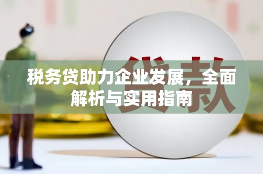 定海税务贷助力企业发展，全面解析与实用指南
