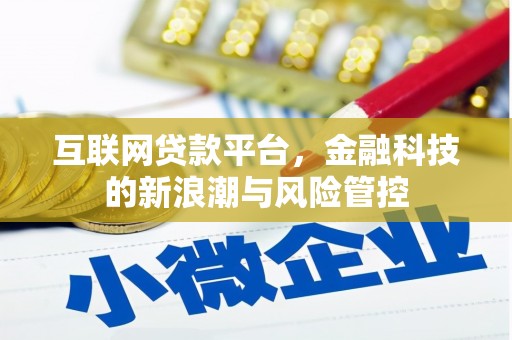 定海互联网贷款平台，金融科技的新浪潮与风险管控