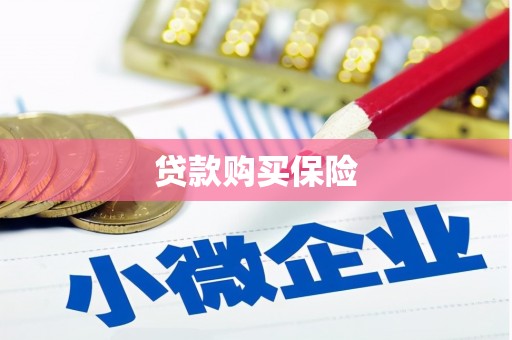 定海贷款购买保险