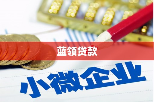定海蓝领贷款