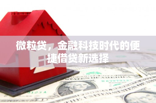 定海微粒贷，金融科技时代的便捷借贷新选择