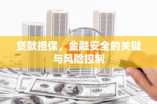 定海贷款担保，金融安全的关键与风险控制