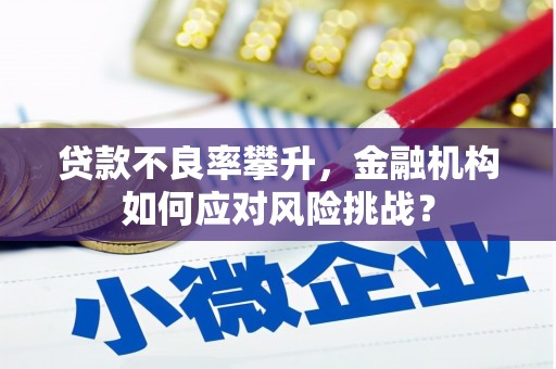 定海贷款不良率攀升，金融机构如何应对风险挑战？