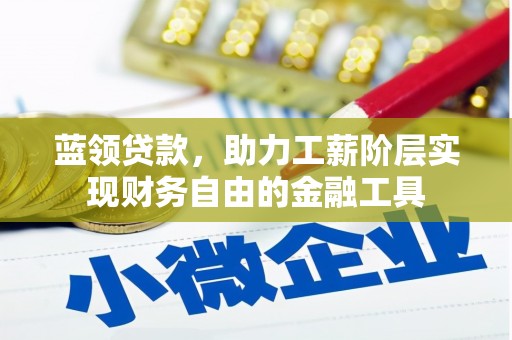 定海蓝领贷款，助力工薪阶层实现财务自由的金融工具