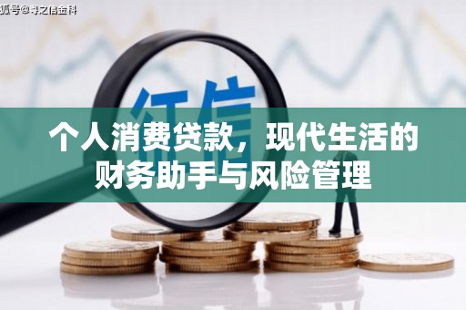定海个人消费贷款，现代生活的财务助手与风险管理