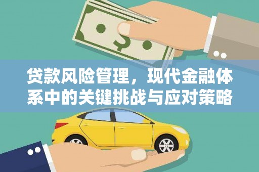 定海贷款风险管理，现代金融体系中的关键挑战与应对策略