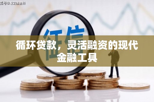 定海循环贷款，灵活融资的现代金融工具