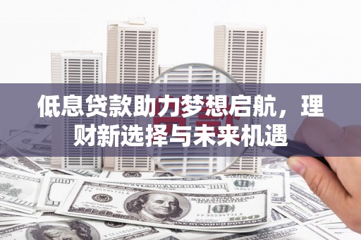 定海低息贷款助力梦想启航，理财新选择与未来机遇