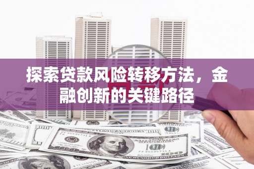 定海探索贷款风险转移方法，金融创新的关键路径