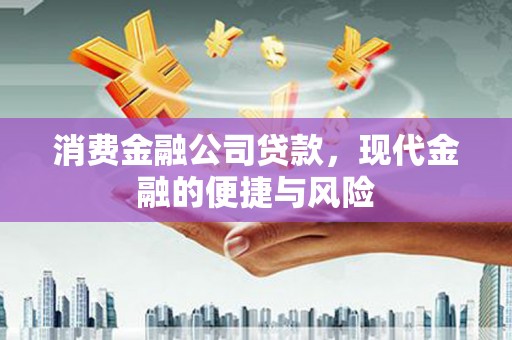 定海消费金融公司贷款，现代金融的便捷与风险