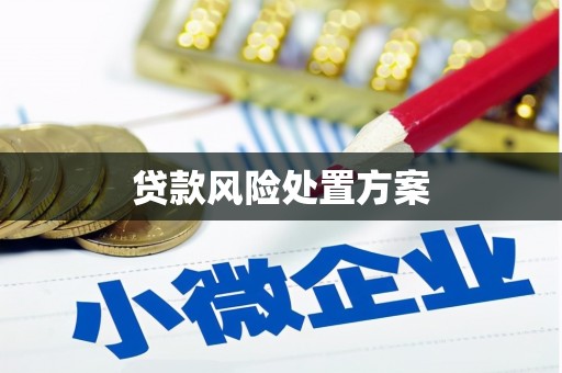 定海贷款风险处置方案