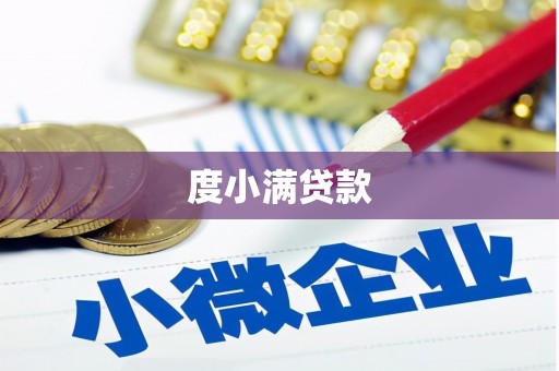 定海度小满贷款