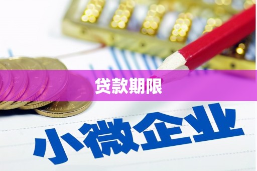定海贷款期限