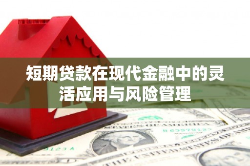 定海短期贷款在现代金融中的灵活应用与风险管理