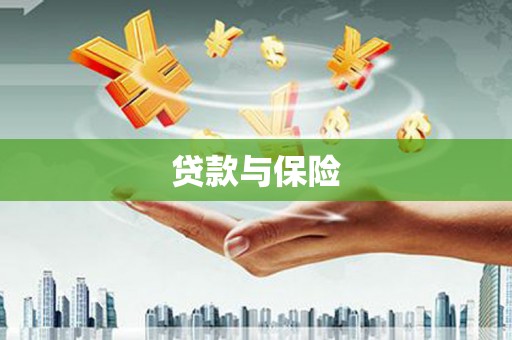 定海贷款与保险