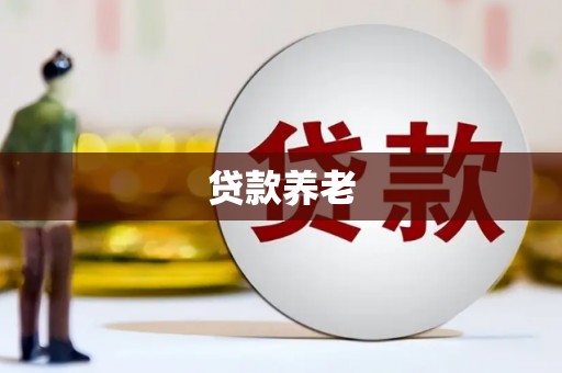 定海贷款养老