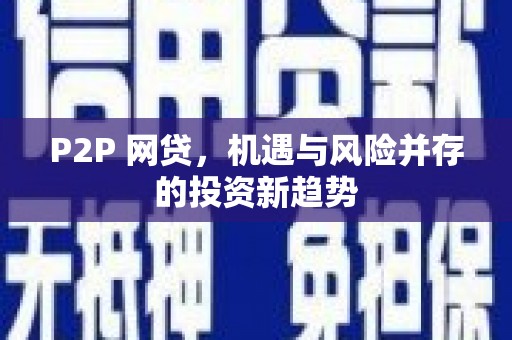 定海P2P 网贷，机遇与风险并存的投资新趋势