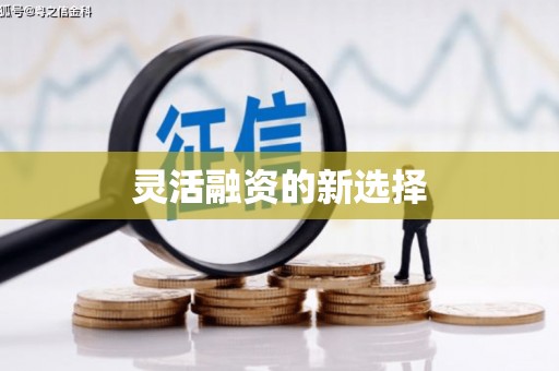 定海灵活融资的新选择