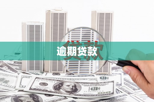定海逾期贷款