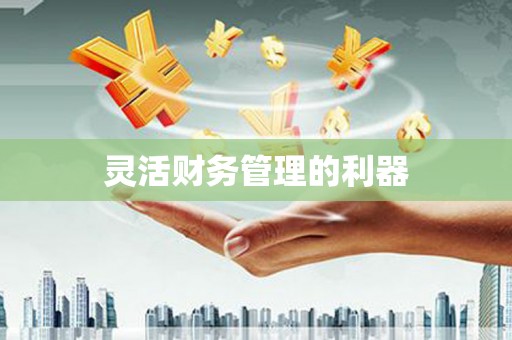 定海灵活财务管理的利器