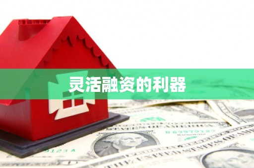 定海灵活融资的利器