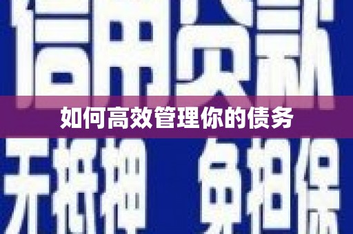 定海如何高效管理你的债务