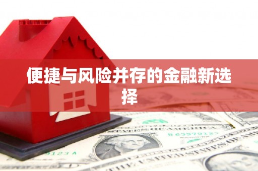 定海便捷与风险并存的金融新选择