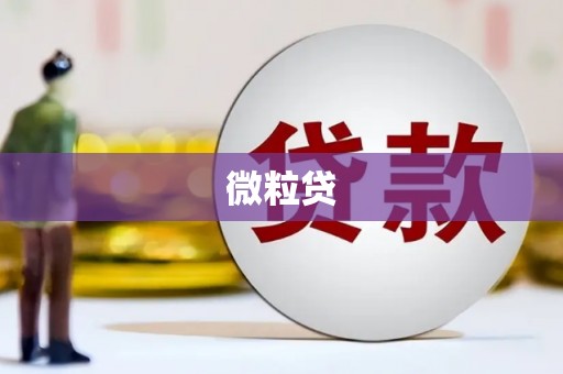 定海微粒贷