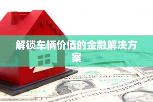 定海解锁车辆价值的金融解决方案