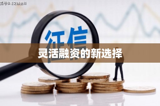 定海灵活融资的新选择